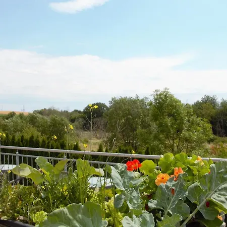 Apartment Zum Suessen Stollen